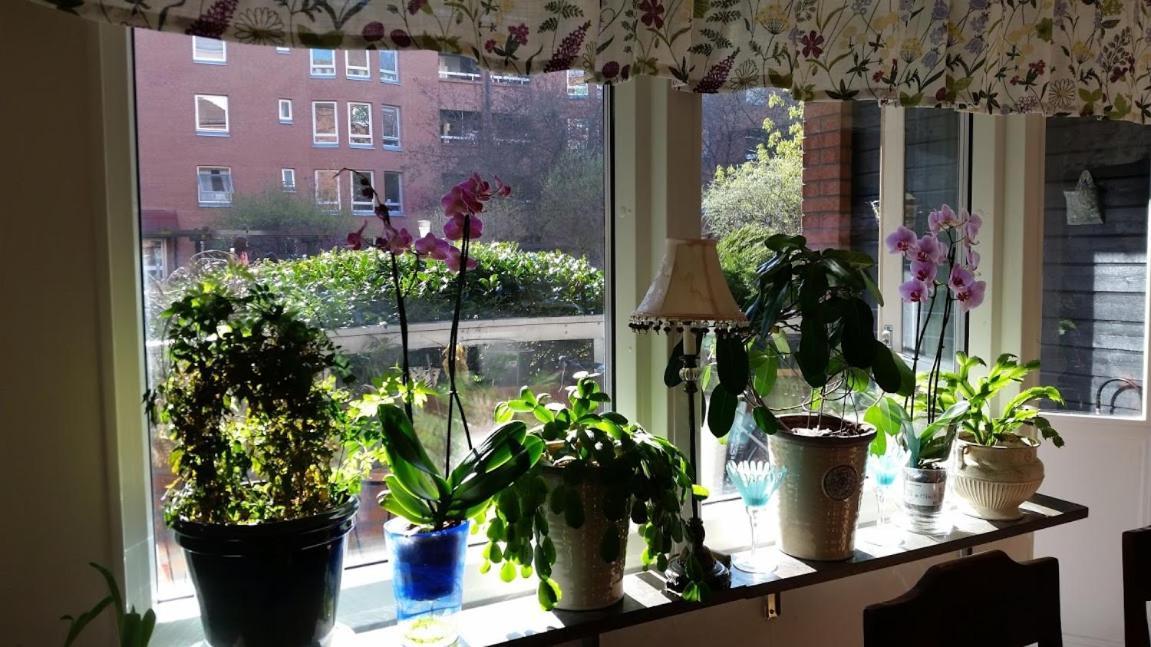 Two-Bedroom Apartment In City Center Of Malmoe Close To Copenhagen Ngoại thất bức ảnh