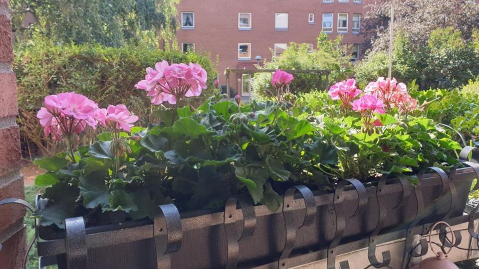 Two-Bedroom Apartment In City Center Of Malmoe Close To Copenhagen Ngoại thất bức ảnh